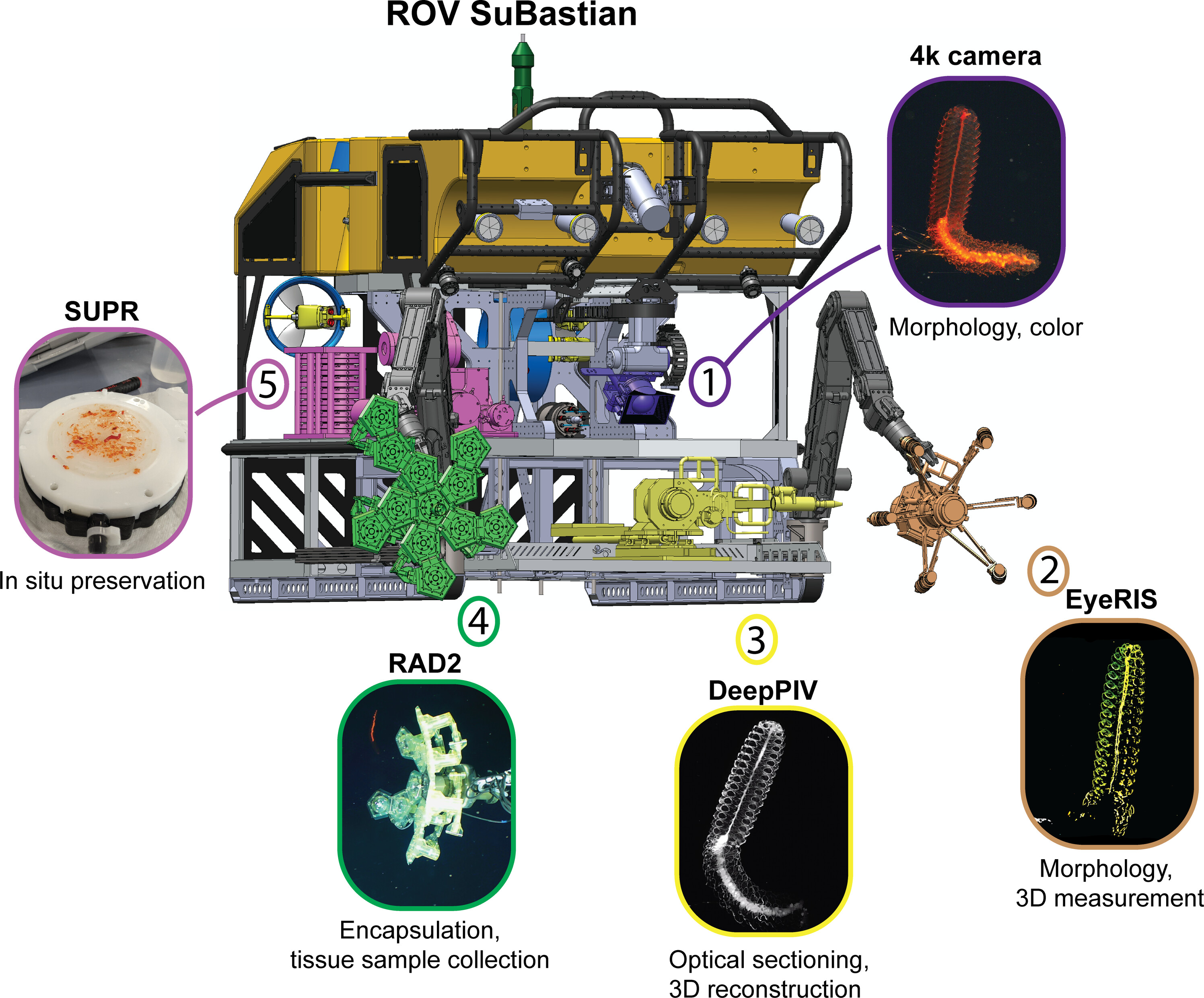 Outfitting the ROV SuBastian