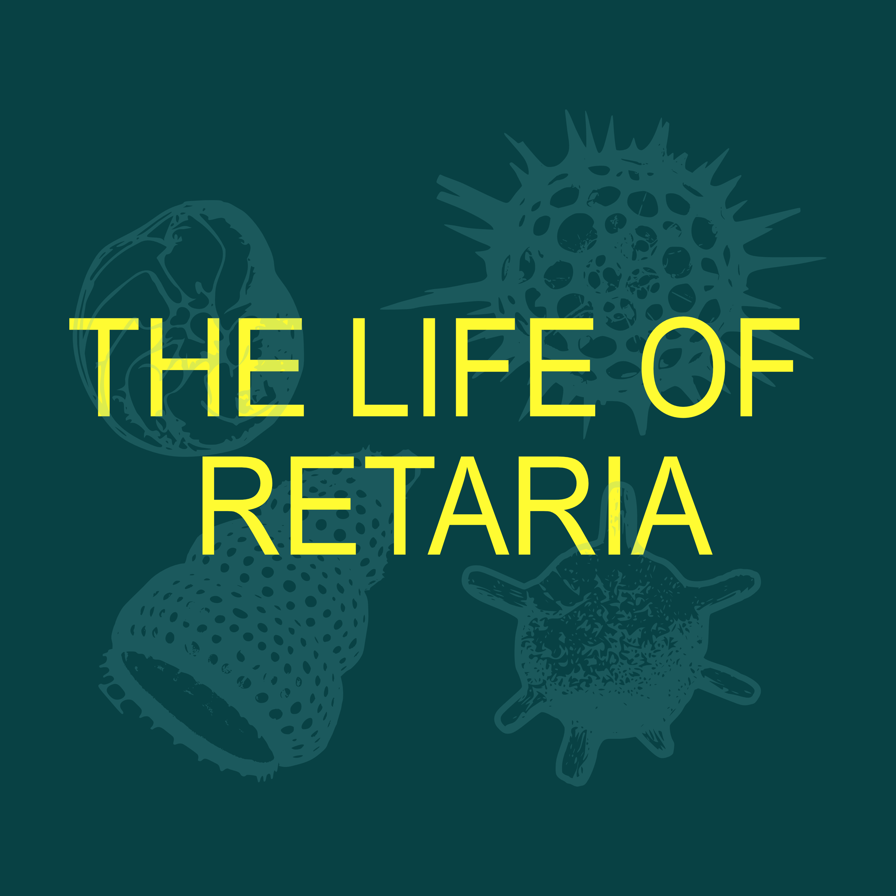 Life of Retaria