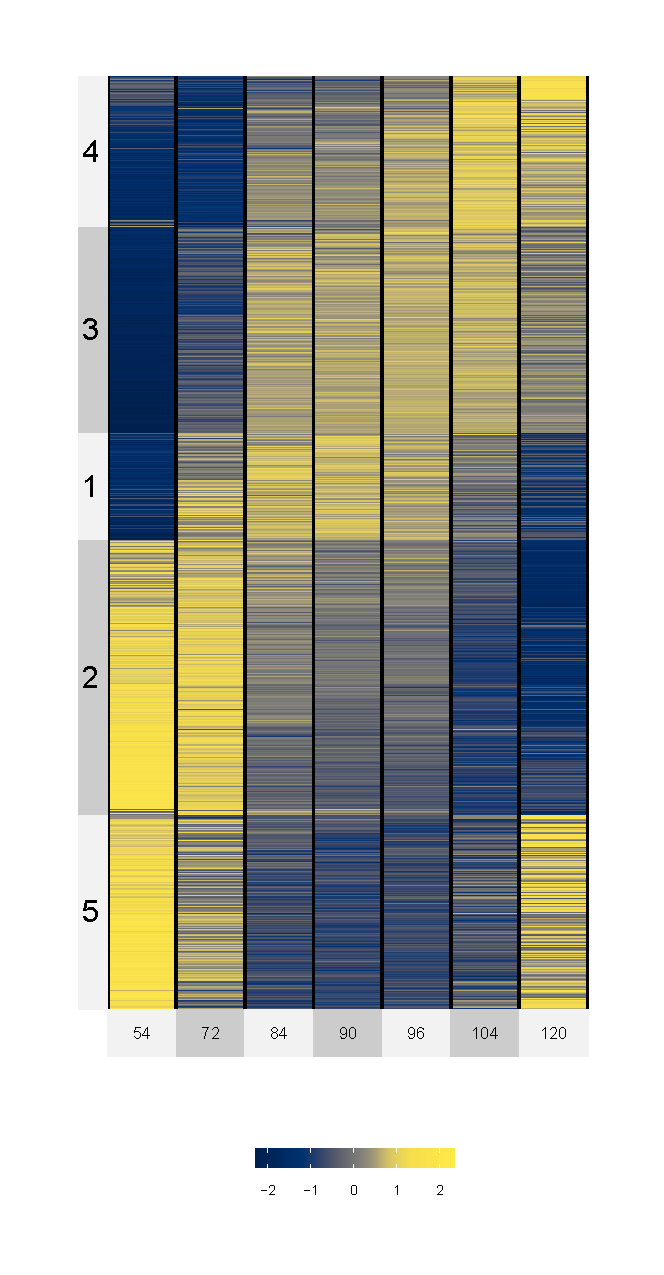 Heatmap of transcripts changing over time