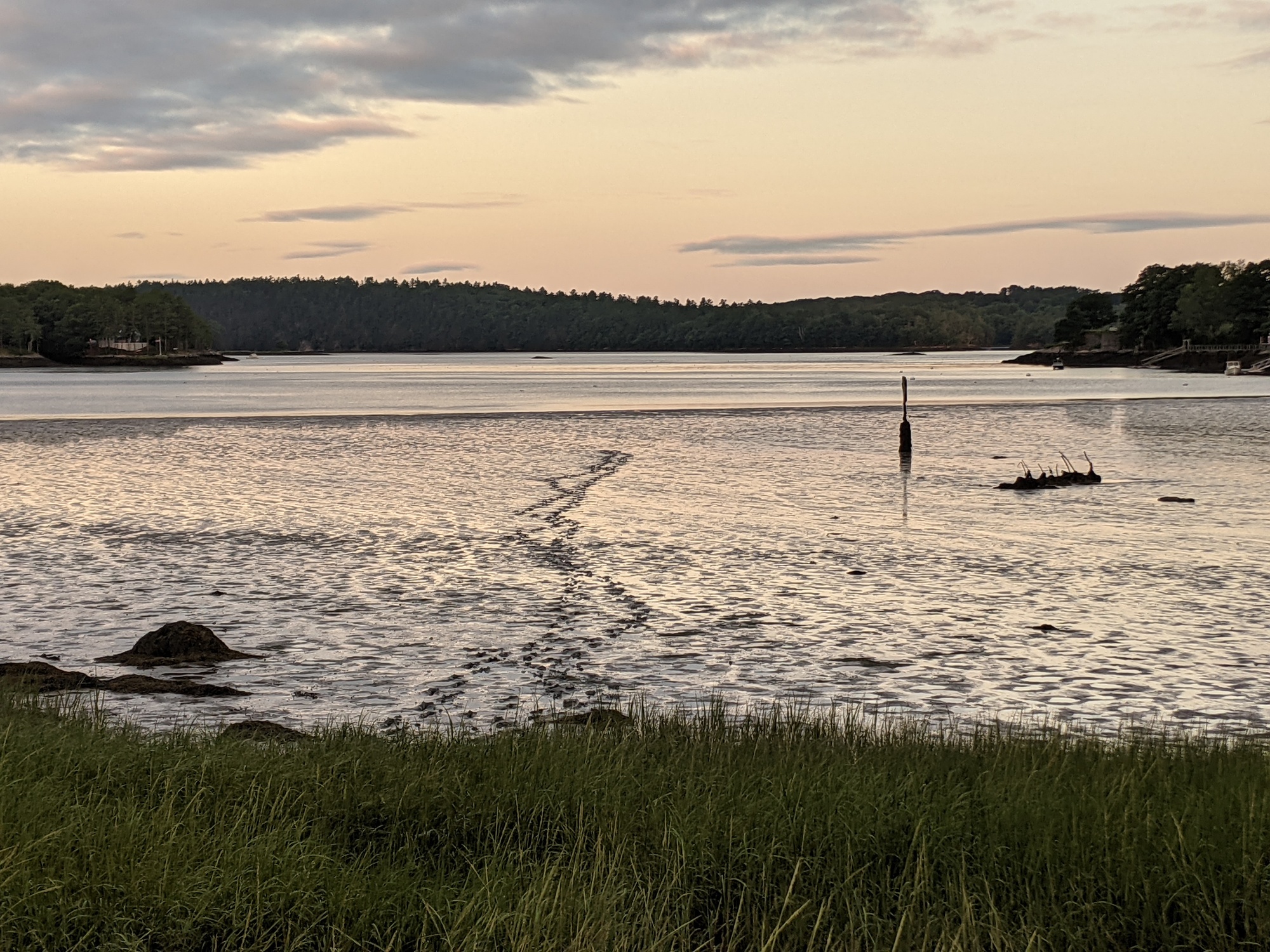 The Edgecomb Eddy mudflat in Maine at sunrise