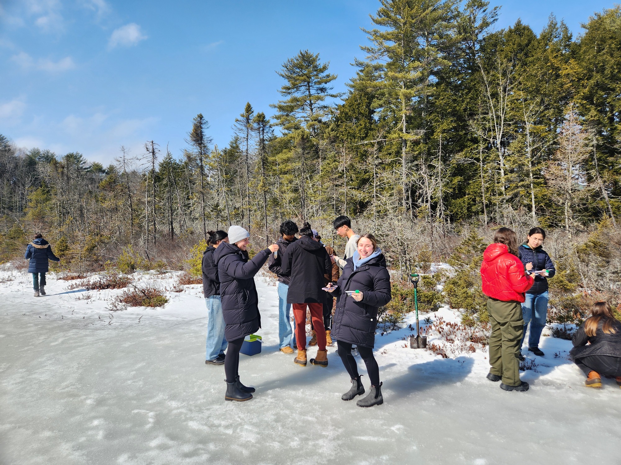 Students sampling a frozen bog