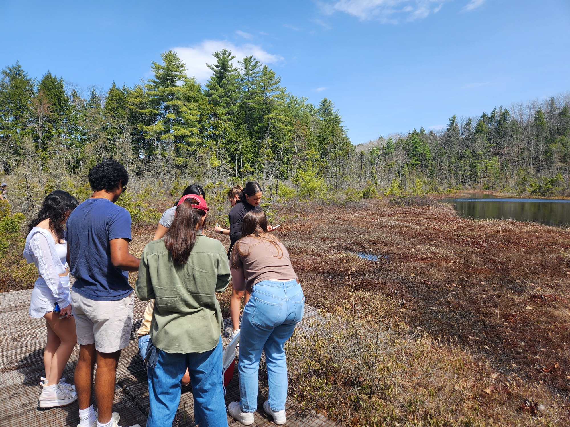 Students sampling a bog in spring